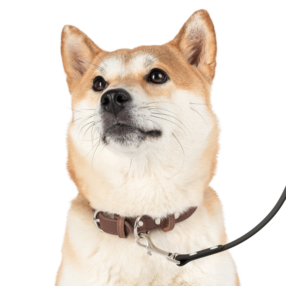 Shaded Minimalist Dog Leash