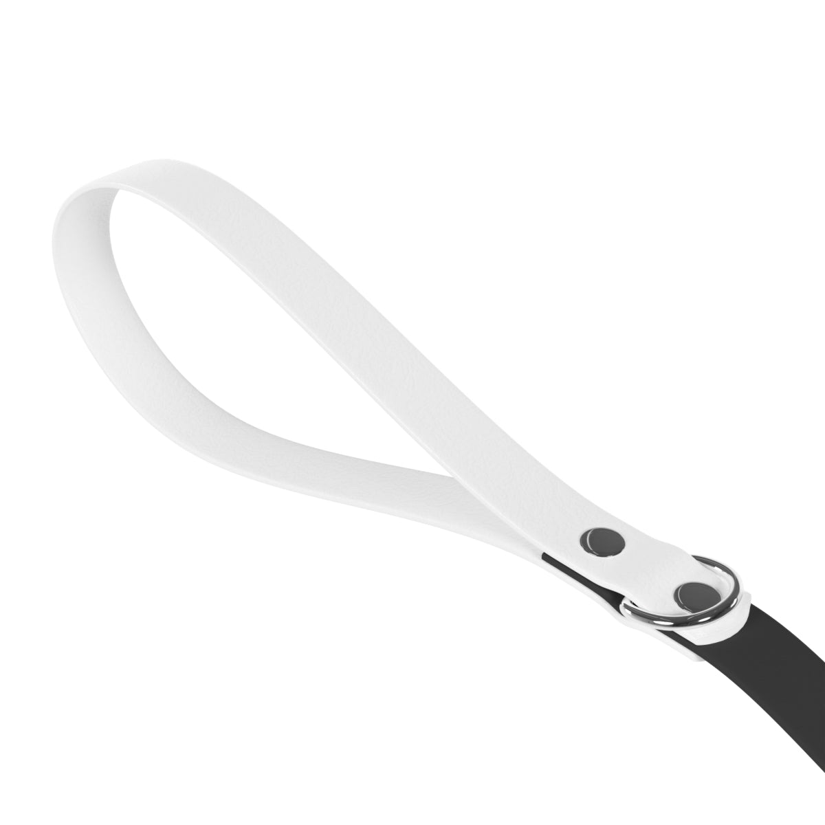 Shaded Minimalist Dog Leash