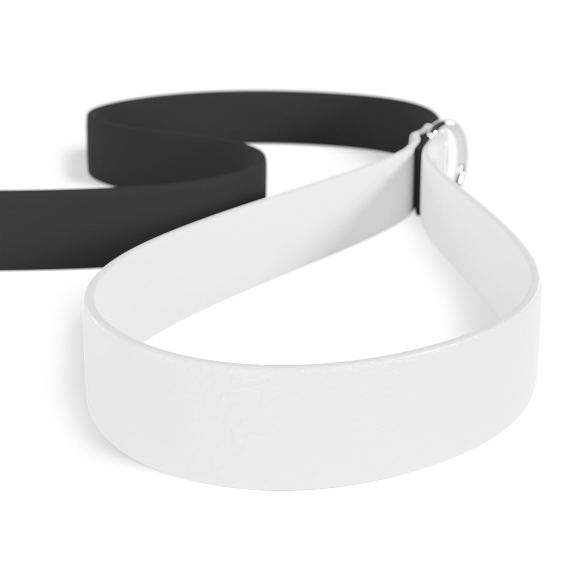 Shaded Minimalist Dog Leash