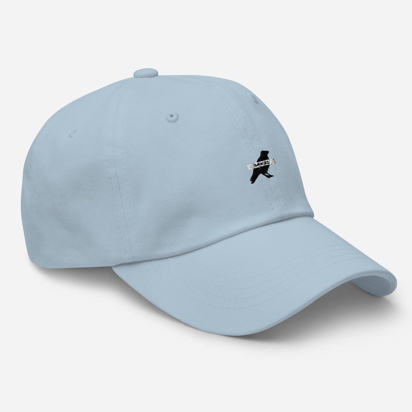 Classic Dad hat