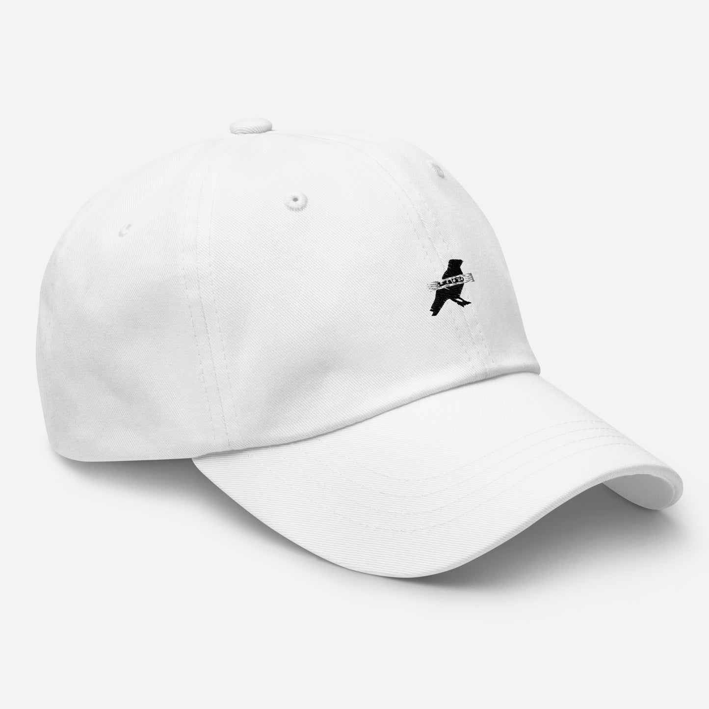 Classic Dad hat