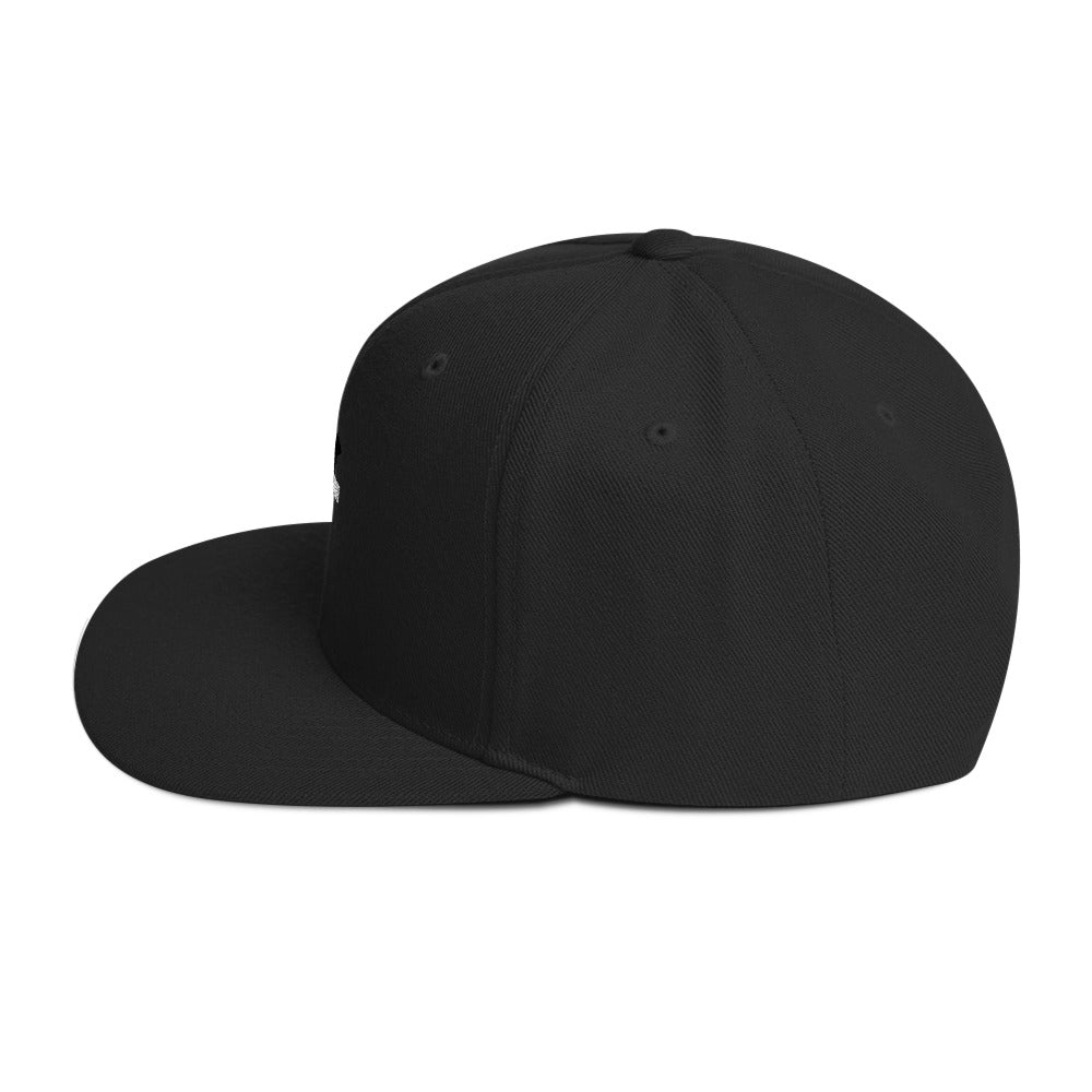 Shaded Snapback Hat